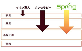 エレクトロポレーションは普段ケア出来ない肌の深部に成分を届けます